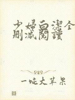 少妇白洁全文无删减阅读封面