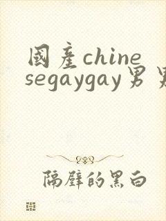 国产chinesegaygay男男网站