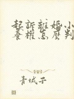 起诉离婚小孩抚养权怎么判