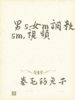 男s女m调教(sm,视频