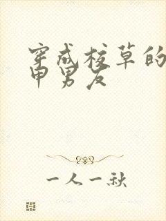 穿成校草的路人甲男友