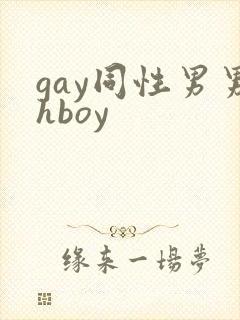 gay同性男男hboy