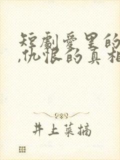 短剧爱里的谎言,仇恨的真相