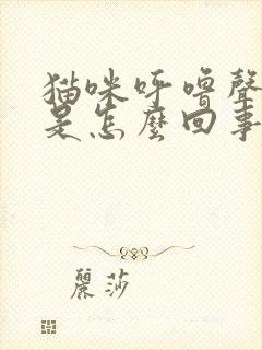 猫咪呼噜声很大是怎么回事