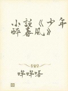 小说《少年白马醉春风》