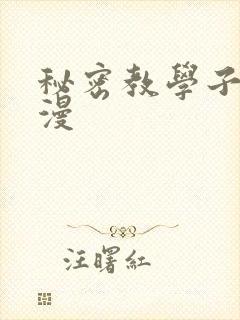 秘密教学子豪韩漫