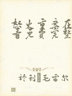 怒火重案在线观看免费完整版