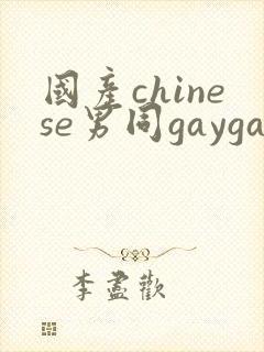 国产chinese男同gaygay网站封面
