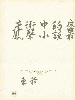 老街中的痞子赵凤声小说最新章节阅读封面