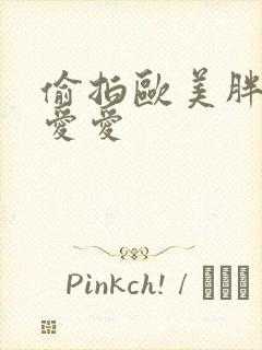 偷拍欧美胖女人爱爱