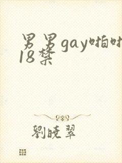 男男gay啪啪18禁