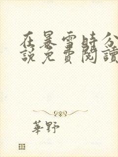 在暴雪时分 小说免费阅读