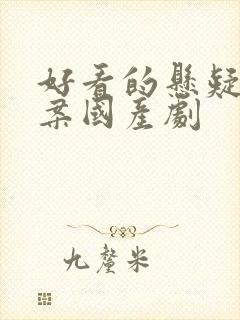 好看的悬疑剧破案国产剧封面