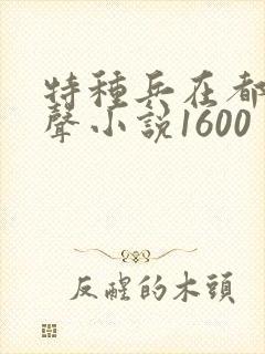 特种兵在都市有声小说1600