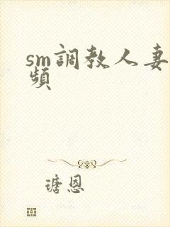 sm调教人妻视频
