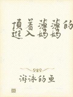 顶着薄薄的丝袜进入妈妈