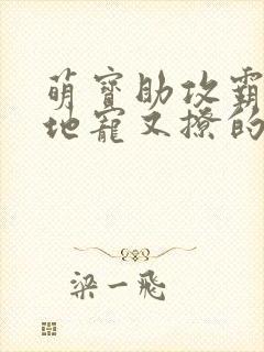 萌宝助攻霸道爹地宠又撩的小说