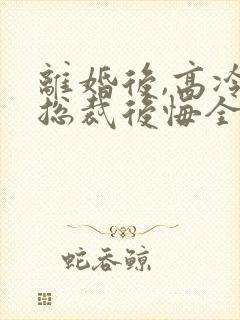 离婚后,高冷女总裁后悔全封面