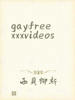 gayfreexxxvideos