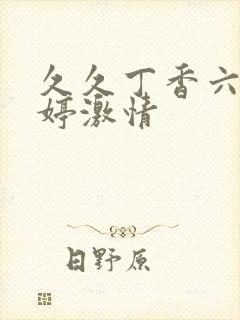 久久丁香六月婷婷激情