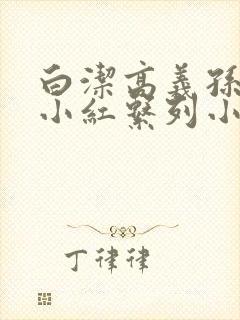 白洁高义孙倩张小红系列小说封面