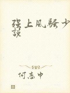 强上风骚少妇小说