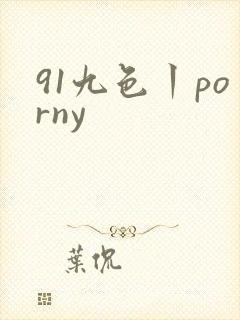 91九色丨porny