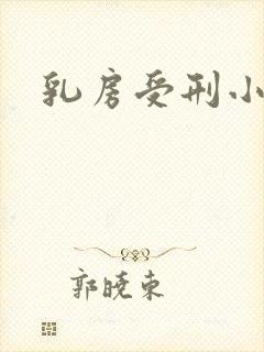 乳房受刑小说
