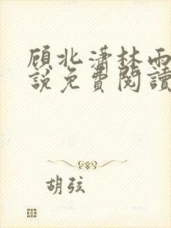 顾北潇林雨菲小说免费阅读封面