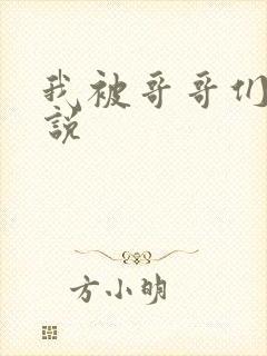 我被哥哥们操小说