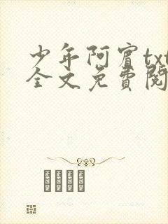 少年阿宾txt全文免费阅读