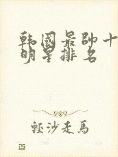 韩国最帅十大男明星排名