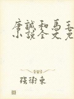 唐诚和马玉婷的小说全文免费封面