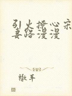 引火撩心宋总追妻路漫漫封面