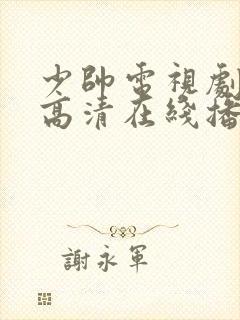 少帅电视剧全集高清在线播放