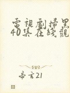 电视剧扫黑风暴40集在线观看免费完整版v