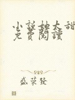 小说她太甜全文免费阅读