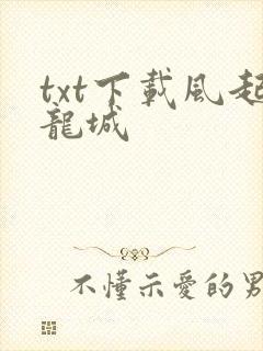 txt下载风起龙城