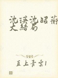 沈瑛沈昭蘅后续大结局