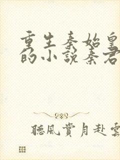 重生秦始皇嬴政的小说秦君