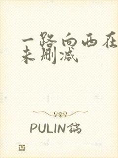 一路向西在线看未删减封面