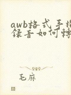 awb格式手机录音如何转换成mp3在线