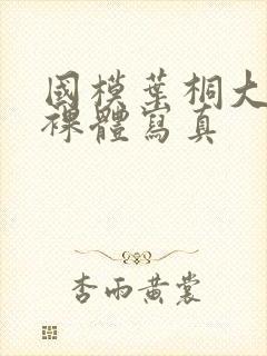 国模叶桐大尺度裸体写真