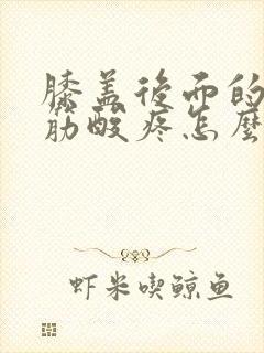 膝盖后面的腿窝筋酸疼怎么回事