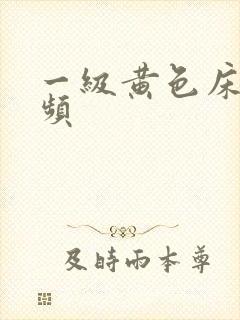 一级黄色床上视频