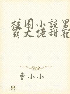 校园小说男主校霸大佬甜宠文