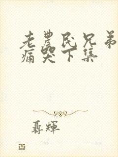 老农民兄弟相认痛哭下集