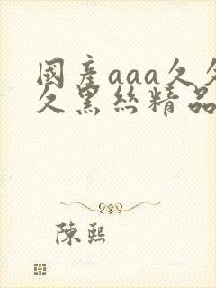 国产aaa久久久黑丝精品