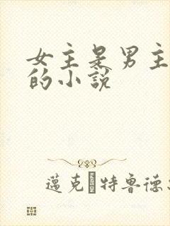 女主是男主后妈的小说