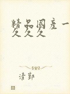 精品国产一级片久久久